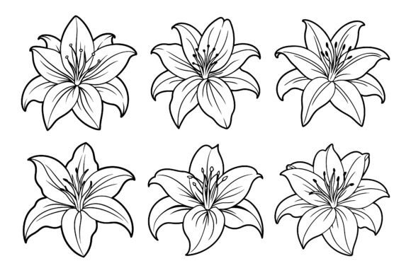 Lily Flower Line Icon Set Review